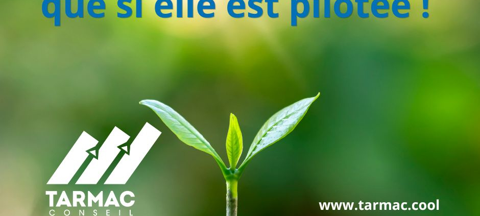 Une croissance mal maîtrisée fragilise